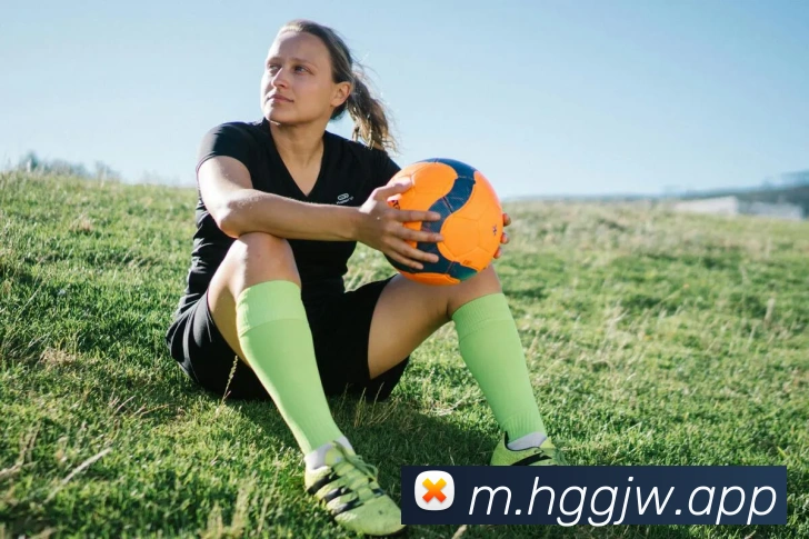 皇冠国际hg服务体系