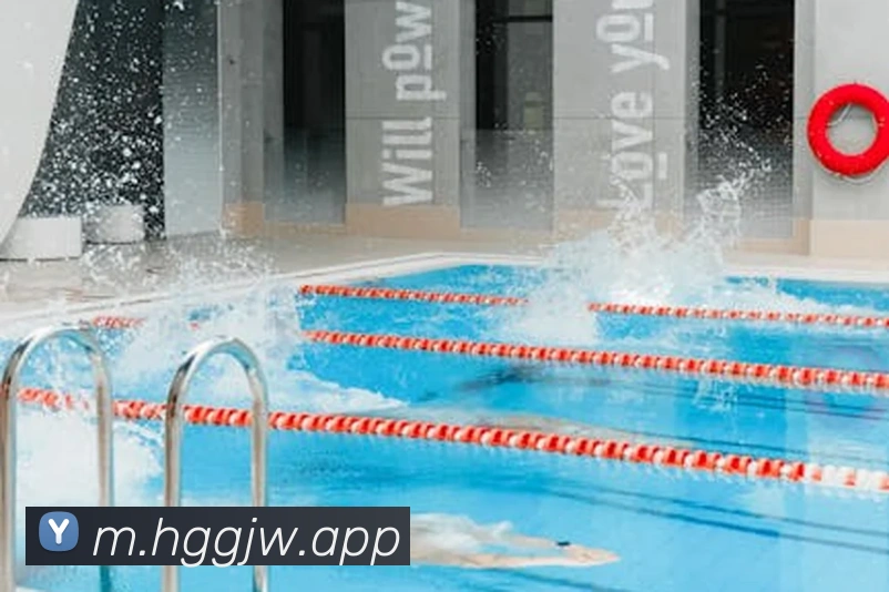 多媒体互动体验